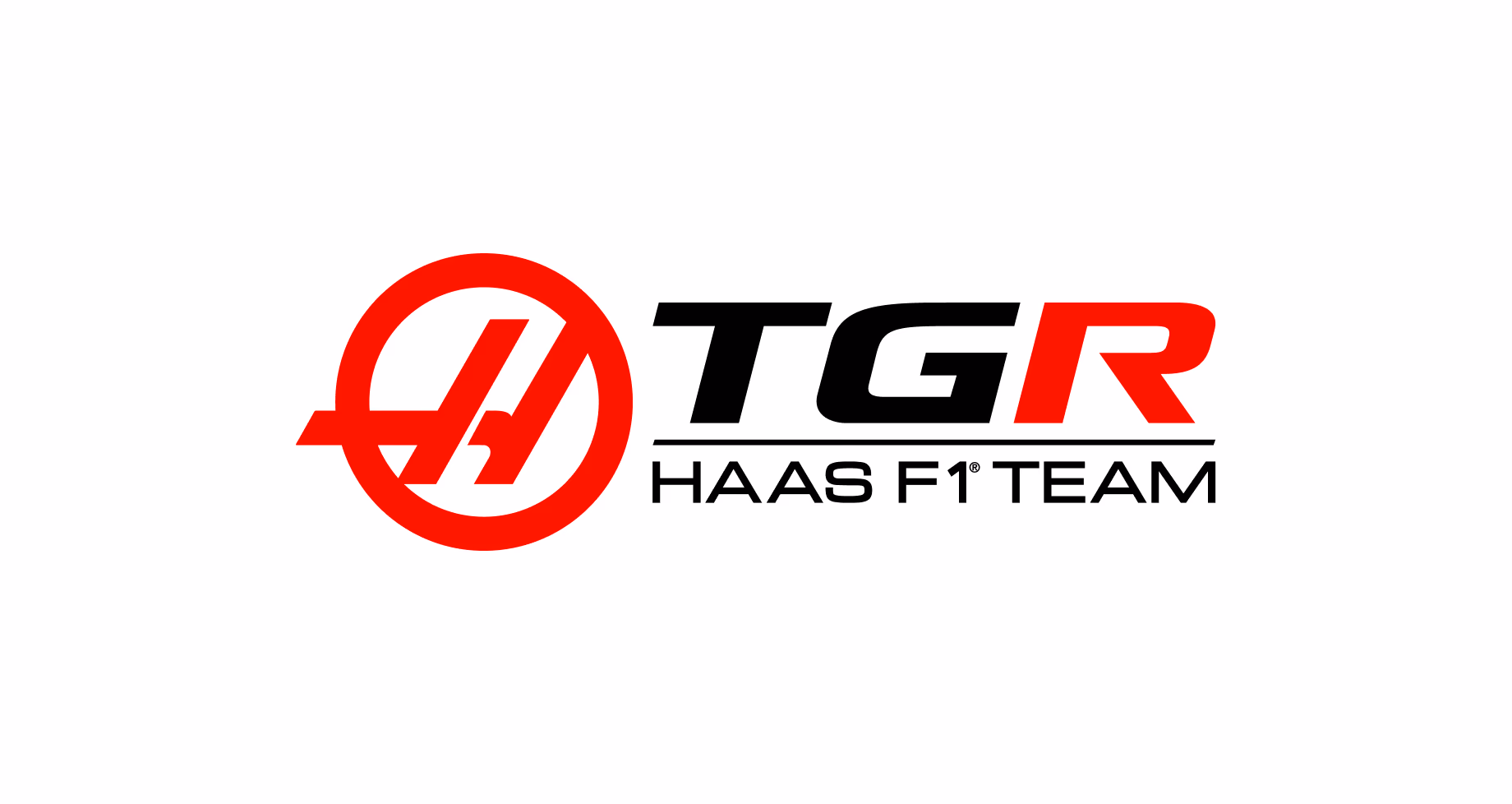 Haas F1 Team logo